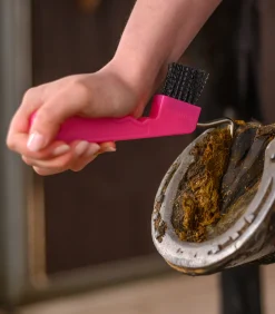 Waldhausen Hufpflege|Putzzeug><noscript><img width=