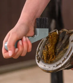 Waldhausen Hufpflege|Putzzeug><noscript><img width=