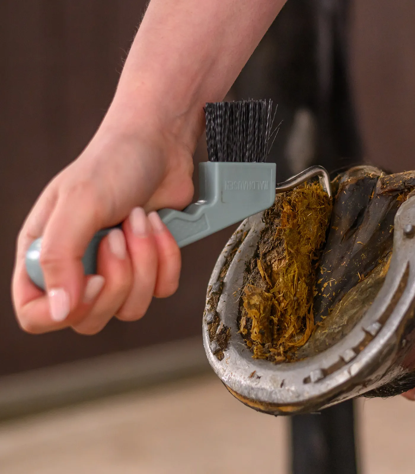 Waldhausen Hufpflege|Putzzeug>Hufkratzer mit Magnet