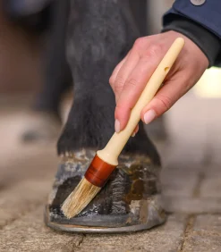 Waldhausen Huf & Pferdebein|Hufpflege>Hufpinsel, Kunststoff