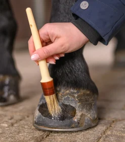 Waldhausen Huf & Pferdebein|Hufpflege><noscript><img width=