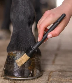 Waldhausen Huf & Pferdebein|Hufpflege><noscript><img width=