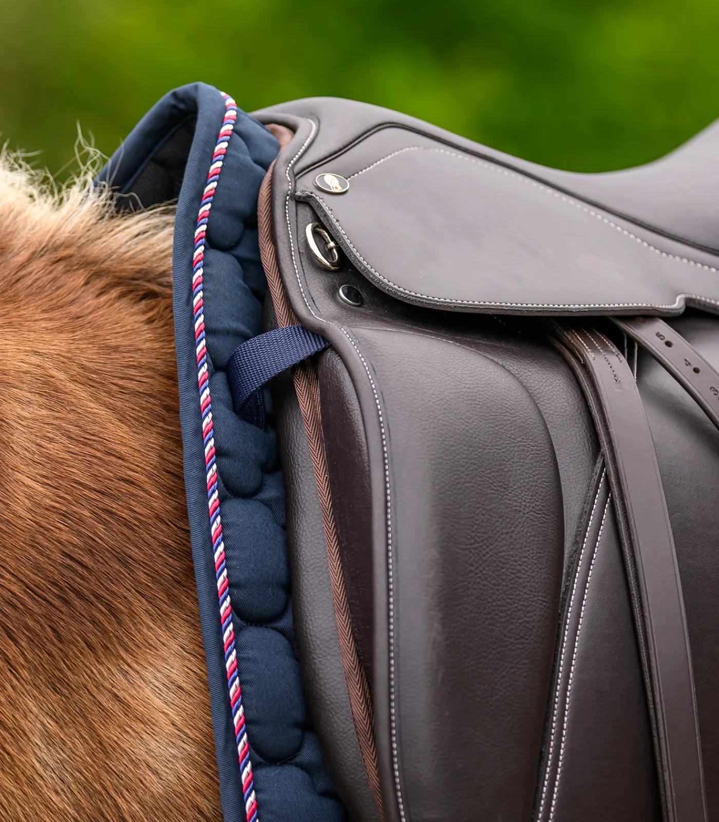 Waldhausen Island|Satteldecken>Island Satteldecke Landsmót