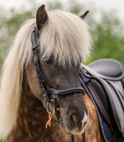 Waldhausen Island|Island Trensenzäume><noscript><img width=