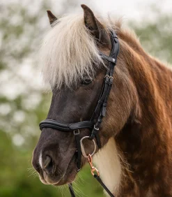 Waldhausen Island|Island Trensenzäume><noscript><img width=