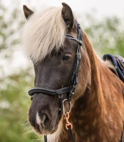 Waldhausen Island|Island Trensenzäume><noscript><img width=