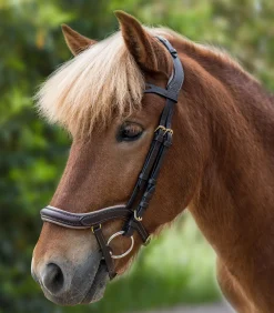 Waldhausen Island|Island Trensenzäume><noscript><img width=