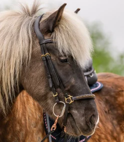 Waldhausen Island|Island Trensenzäume></noscript>Island Trensenzaum Ice