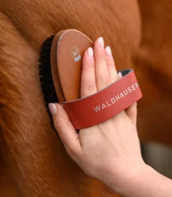 Waldhausen Putzzeug><noscript><img width=