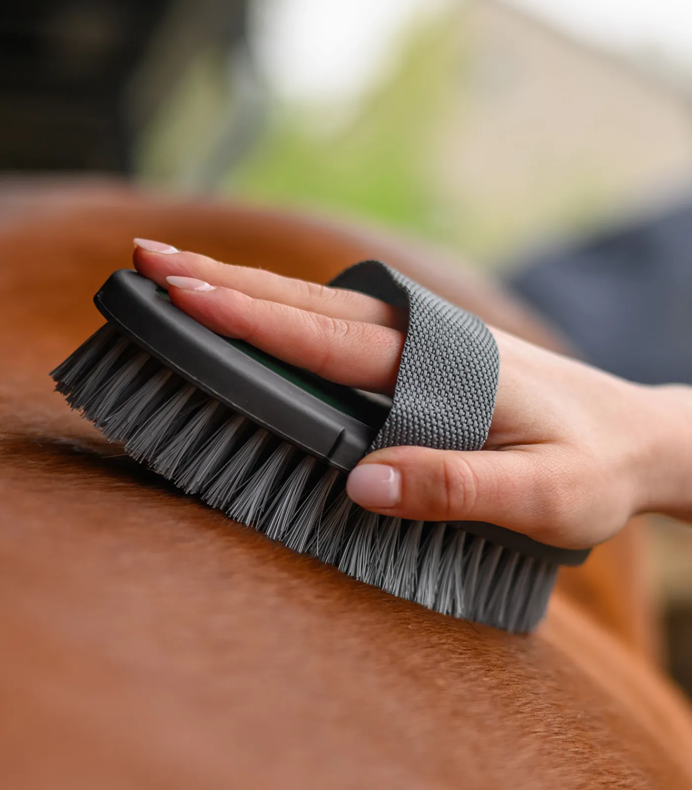 Waldhausen Putzzeug>Kardätsche Synthetic