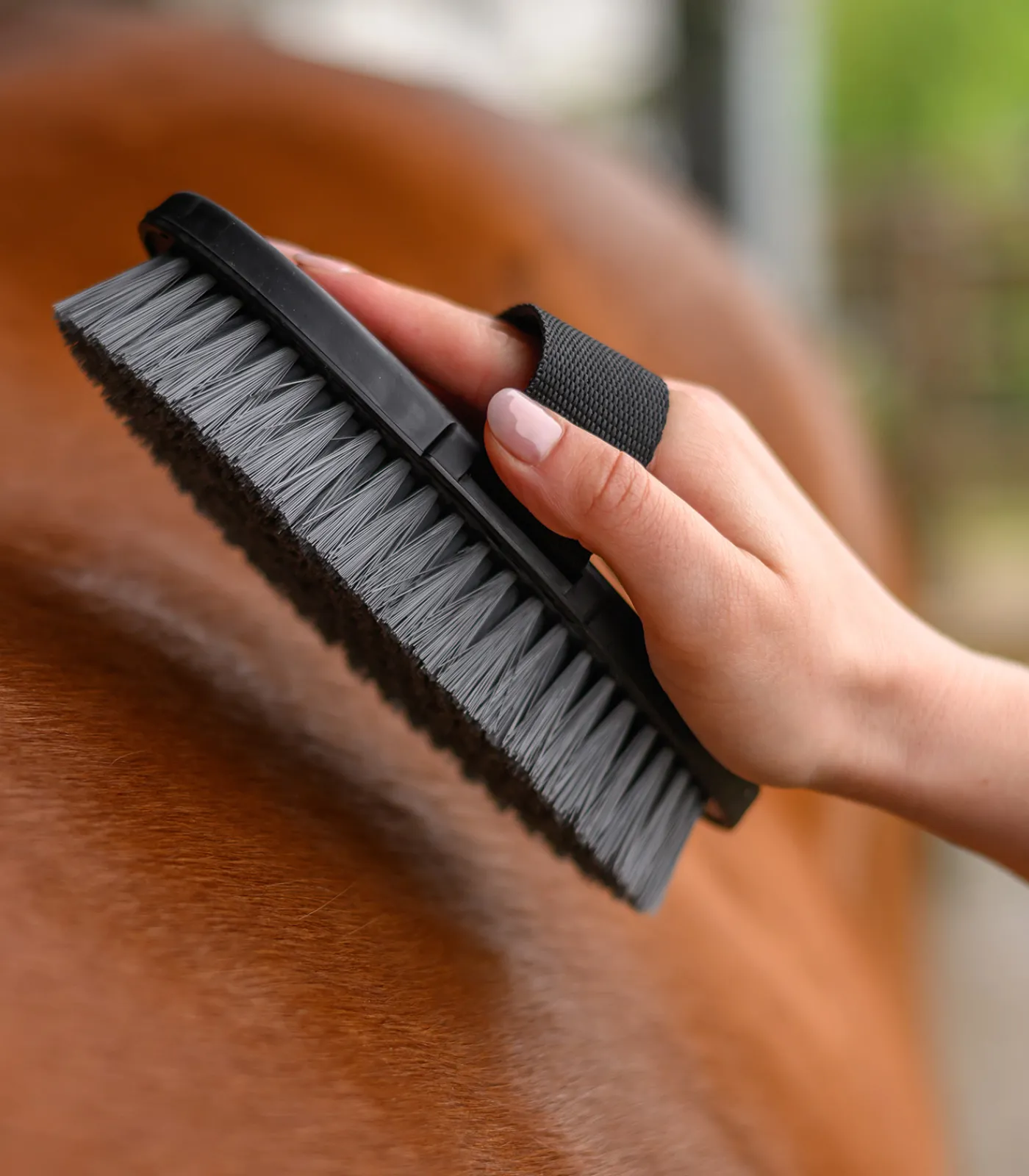 Waldhausen Putzzeug>Kardätsche Synthetic