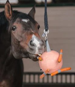 Waldhausen Pferdespielzeug & Beschäftigung><noscript><img width=