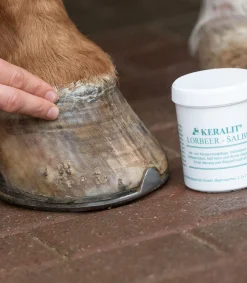 Keralit Stallapotheke|Huf & Pferdebein>Lorbeersalbe