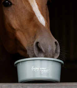 Waldhausen Futtereimer, Tröge & Schüsseln|Turnieraccessoires & Pflege><noscript><img width=