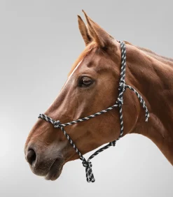 Waldhausen Island|Western><noscript><img width=