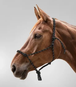 Waldhausen Island|Western><noscript><img width=