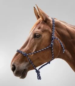 Waldhausen Island|Western><noscript><img width=