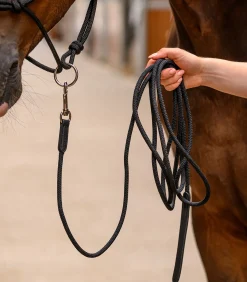 Waldhausen Western|Weiteres Longierzubehör><noscript><img width=