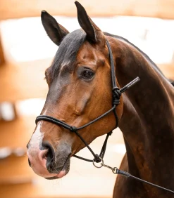 Waldhausen Western|Weiteres Longierzubehör><noscript><img width=