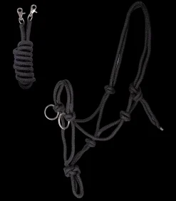 Waldhausen Western|Weiteres Longierzubehör><noscript><img width=