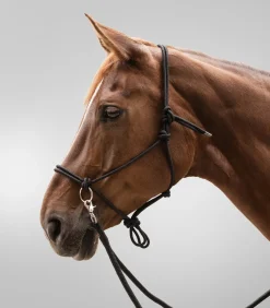 Waldhausen Western|Weiteres Longierzubehör><noscript><img width=