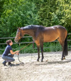 Waldhausen Western|Peitschen & Kontaktstöcke></noscript>Kontaktstock
