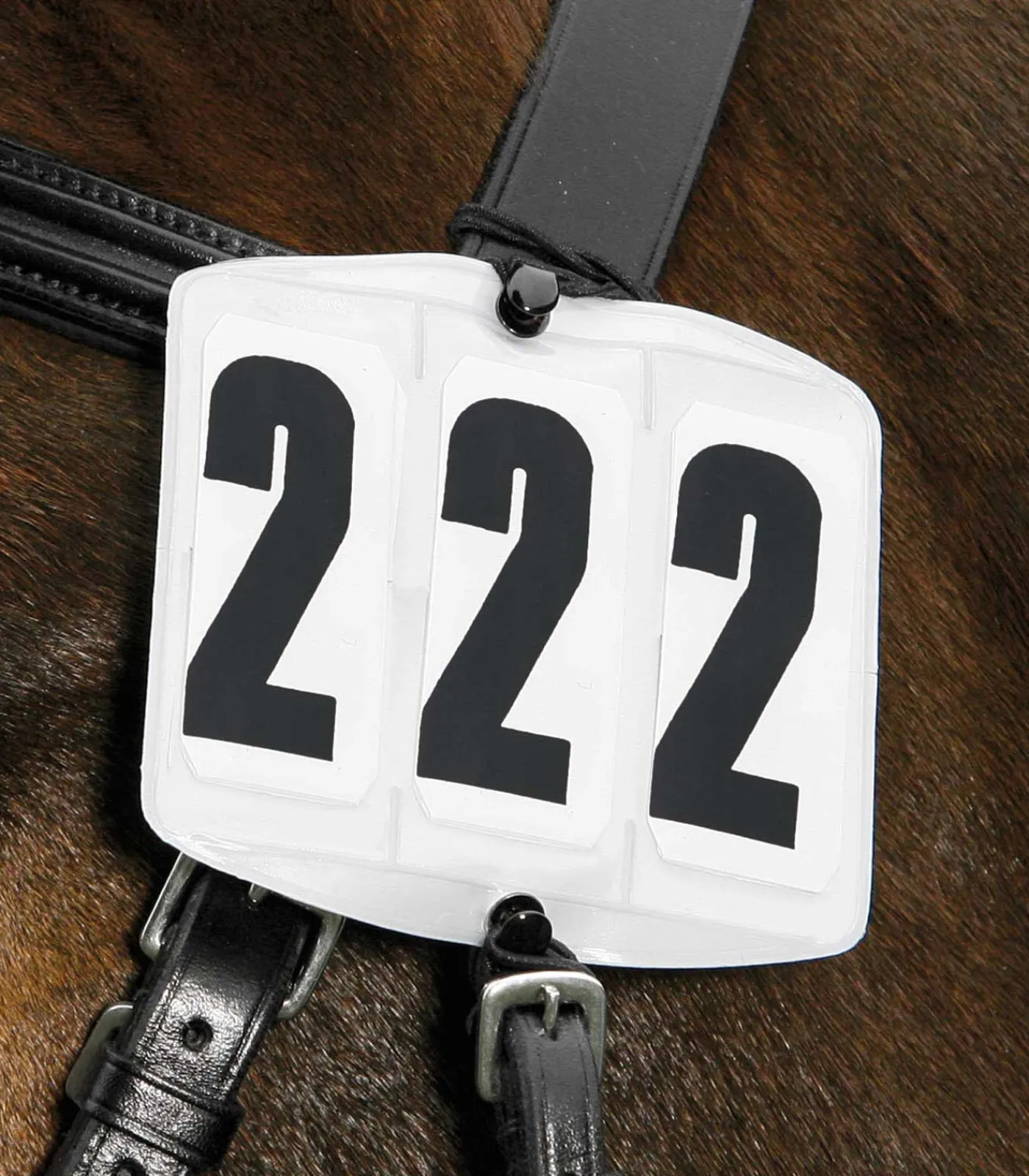 Waldhausen Turnieraccessoires & Pflege>Kopfnummern, eckig, für Zaum, mit Gummis