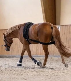 Waldhausen Weiteres Longierzubehör><noscript><img width=