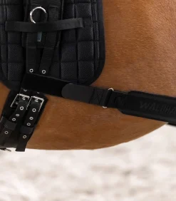 Waldhausen Weiteres Longierzubehör><noscript><img width=