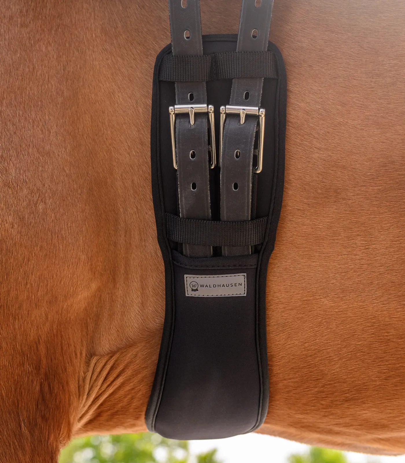 Waldhausen Sattelgurte>Kurzgurt mit Gel