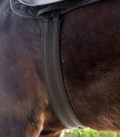 Waldhausen Sattelgurte>Langgurt Economic