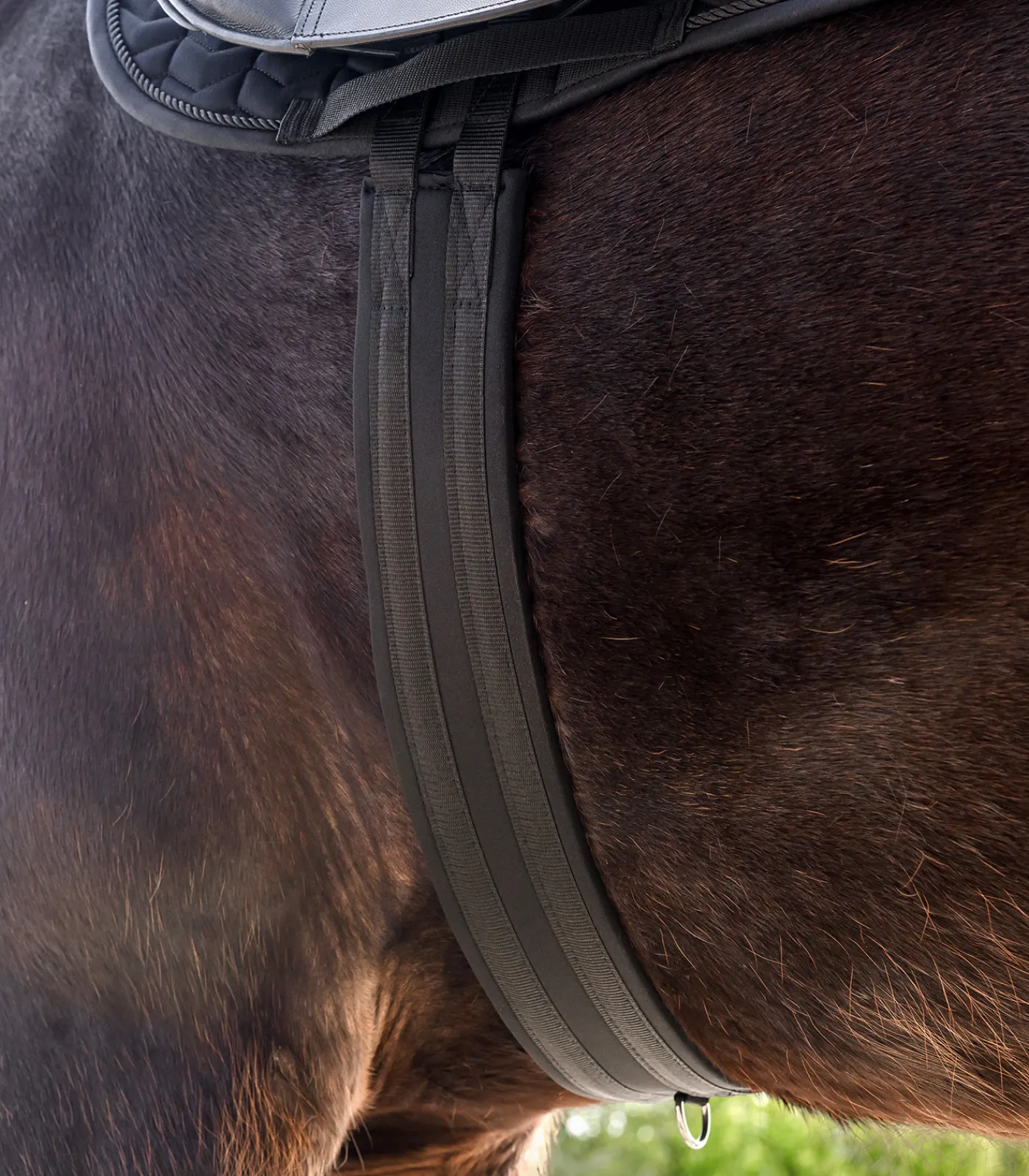 Waldhausen Sattelgurte>Langgurt Economic