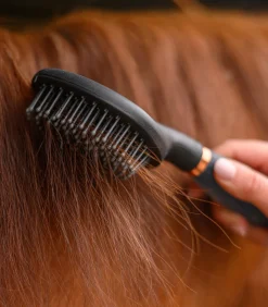 Waldhausen Mähne & Schweif|Putzzeug><noscript><img width=