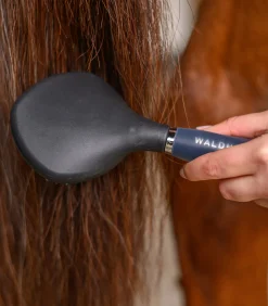 Waldhausen Mähne & Schweif|Putzzeug><noscript><img width=