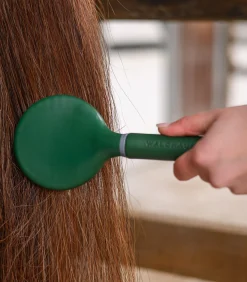 Waldhausen Mähne & Schweif|Putzzeug><noscript><img width=