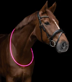 Waldhausen Anbinder & Zubehör|Reflexprodukte></noscript>LED Leuchthalsring