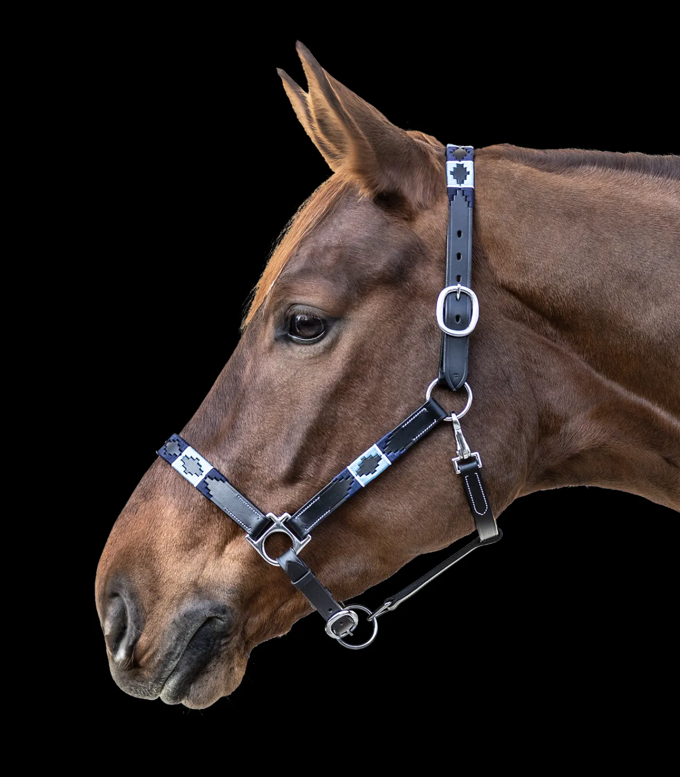 Waldhausen Pony & Shetty|Halfter>Lederhalfter Polo