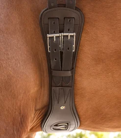 Waldhausen Sattelgurte><noscript><img width=