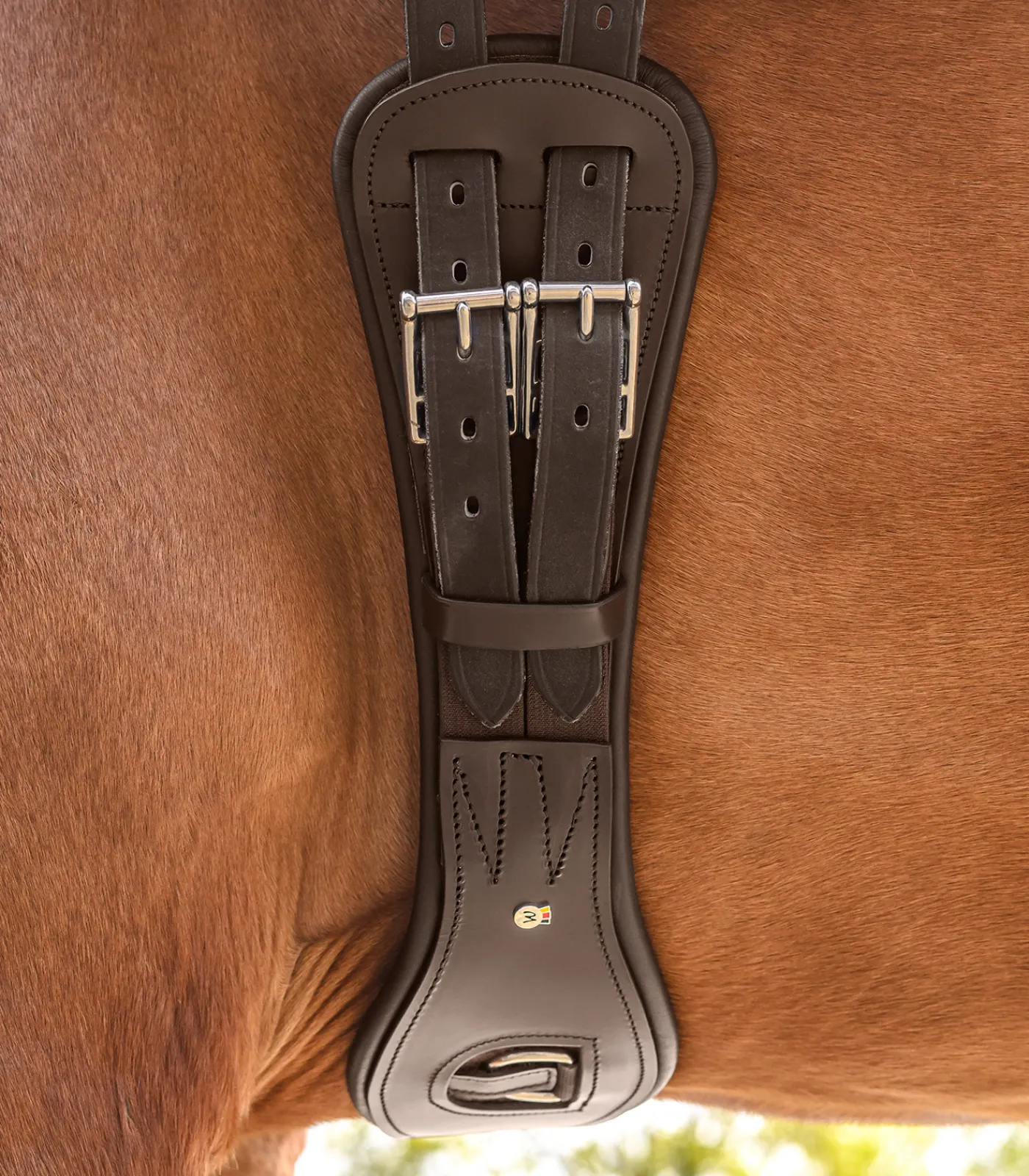 Waldhausen Sattelgurte>Lederkurzgurt - mit Elastik