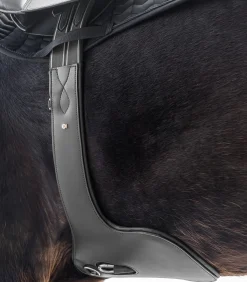 Waldhausen Sattelgurte><noscript><img width=