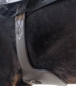 Waldhausen Sattelgurte><noscript><img width=