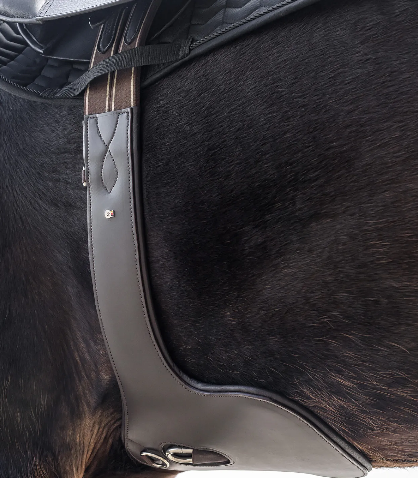 Waldhausen Sattelgurte>Ledersattelgurt - mit Bauchlatz