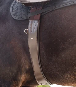 Waldhausen Sattelgurte>Ledersattelgurt - mit Elastik