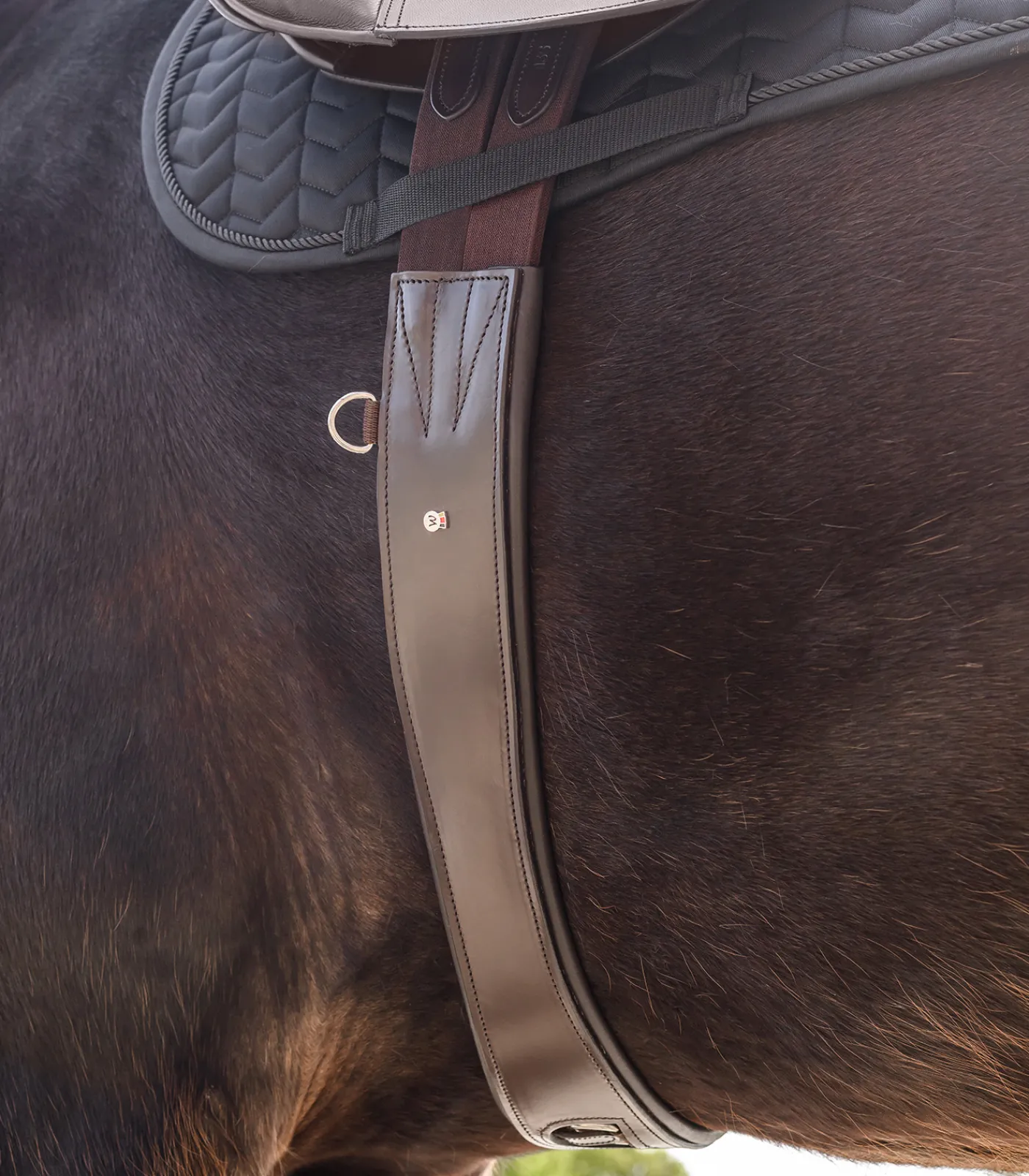 Waldhausen Sattelgurte>Ledersattelgurt - mit Elastik