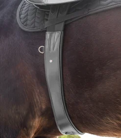 Waldhausen Sattelgurte><noscript><img width=