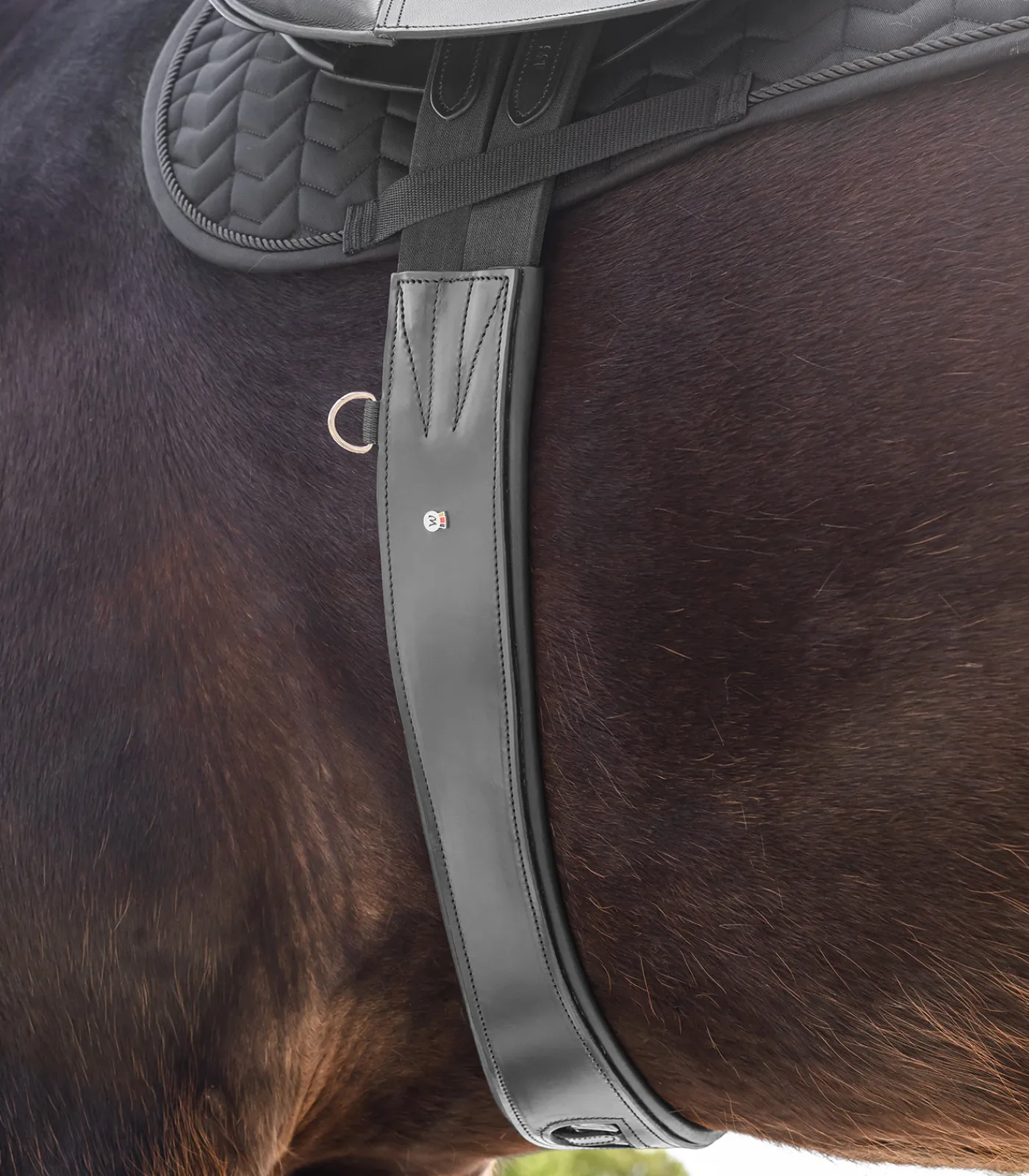 Waldhausen Sattelgurte>Ledersattelgurt - mit Elastik