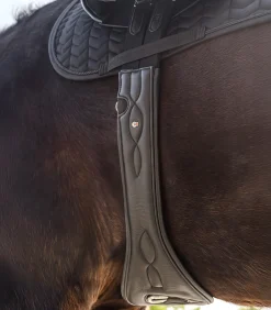 Waldhausen Sattelgurte><noscript><img width=