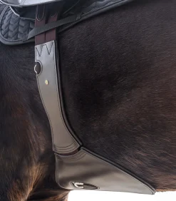 Waldhausen Sattelgurte><noscript><img width=