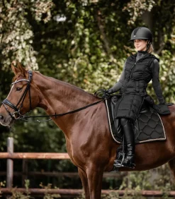 ELT Westen></noscript>Lightweight Longweste Ostende