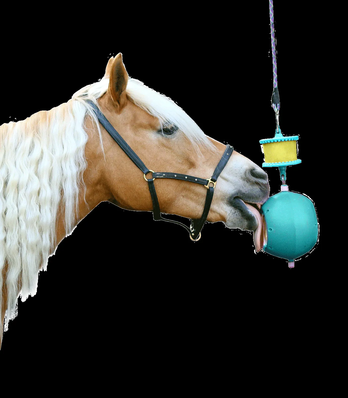 LIKIT Pferdespielzeug & Beschäftigung|Lecksteine>Boredom Breaker